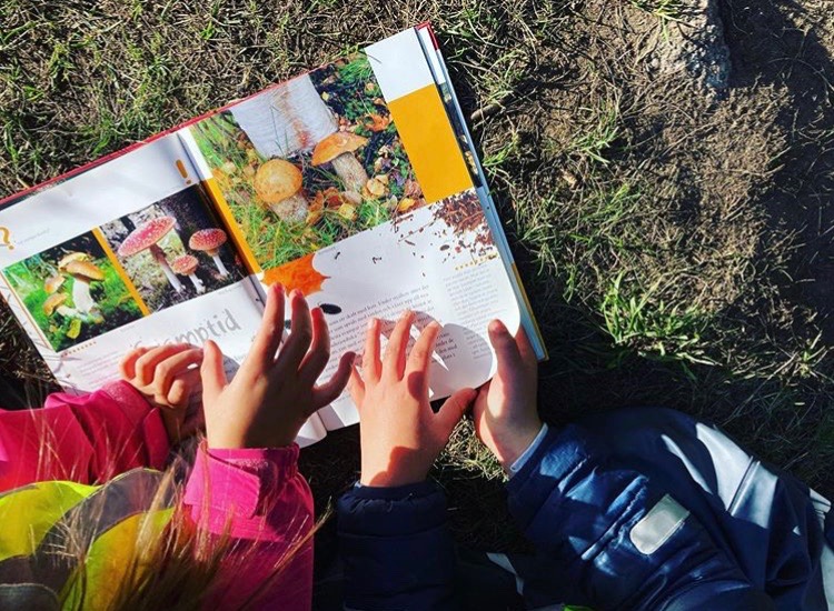 barn lär sig om svampar i naturen pysslingen förskola